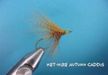 Wet Wire Autumn Caddis.jpg