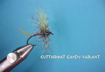 Cuttroat Candy.jpg