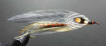 Gray Ghost 1080.JPG