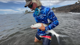 Armadillo Bonefish2.png