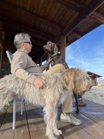 thumbnail_IMG_6369.jpg