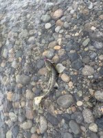 IMG_0885.jpeg