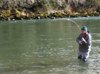 sauk bull trout.jpeg