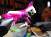 IMG_6470.jpeg
