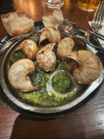 snail.jpg