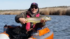 20170323_105009 cropped 2.jpg 20170323_105009 cropped 2.jpg