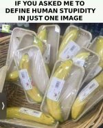 IMG_6520.jpeg