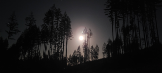 1731802034392.png