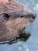IMG_0072.jpeg