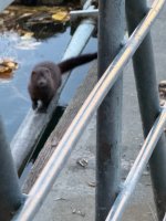 IMG_0063.jpeg