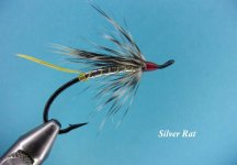 Silver Rat.jpg