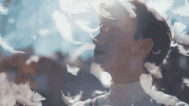 IMG_6277.gif IMG_6277.gif