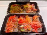 IMG_6288.jpeg