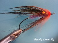 Beauly Snow Fly.jpg