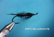 Rod's Hellgrammite3.jpg