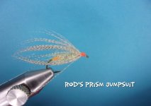Rod's Prism Jumpsuit.jpg