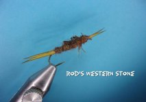 Rod's Western Stone.jpg