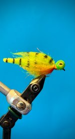 IMG_5177.jpeg