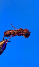 IMG_5180.jpeg