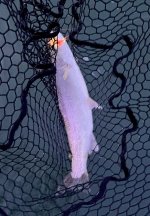 IMG_6299.jpeg