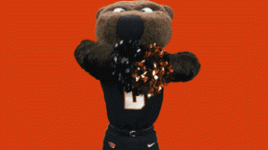1732420014578.gif