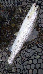 IMG_9844.jpeg