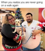 1732576672413.png