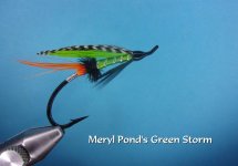 Meryl Pond's Green Storm.jpg