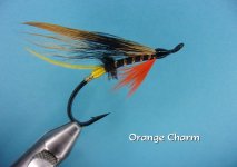 Orange Charm.jpg