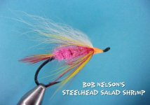 Bob Nelson's Steelhead Salas Shrimp.jpg