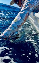 IMG_6511.jpeg