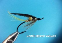March Brown Variant.jpg