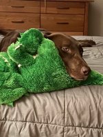 IMG_1386.jpeg