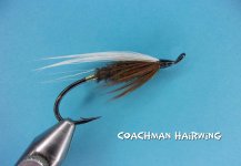 Coachman Hairwing.jpg
