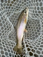 IMG_4394.JPEG