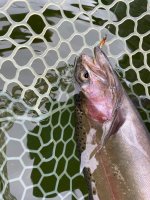 IMG_9544.jpeg
