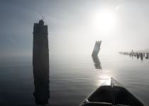 1733102118549.png
