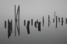 1733102153370.png