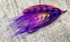 IMG_5789.jpeg
