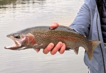 IMG_0053.jpeg