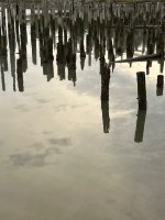 IMG_2907.jpeg