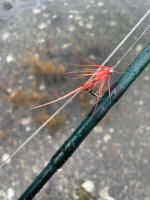 IMG_9740.jpeg IMG_9740.jpeg