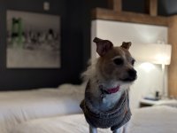 IMG_5189.jpeg