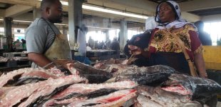 5 Mzizima Fish Market.jpg 5 Mzizima Fish Market.jpg