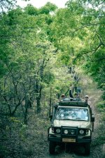 9 Land Cruiser (photo by Dylan-Rose).jpg 9 Land Cruiser (photo by Dylan-Rose).jpg