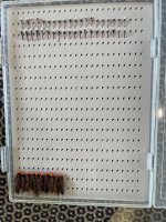 IMG_6251.jpeg IMG_6251.jpeg
