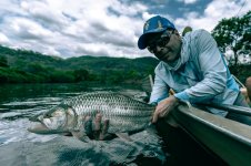 7 Tigerfish (photo by Dylan Rose).jpg 7 Tigerfish (photo by Dylan Rose).jpg