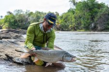 16 Tigerfish DR.jpg 16 Tigerfish DR.jpg