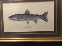 IMG_3733.jpeg