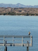 IMG_9065.jpeg